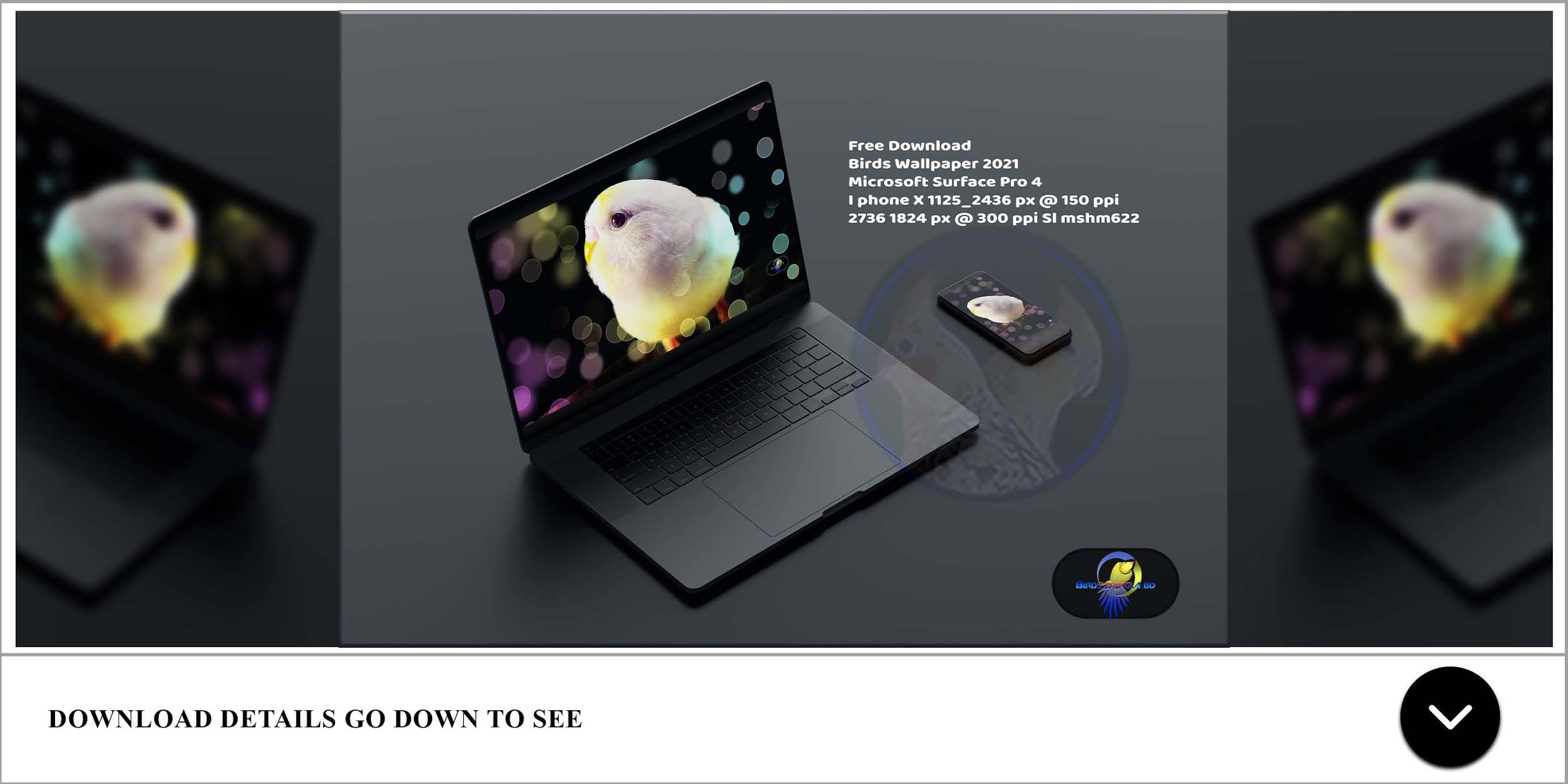 9x microsoft surface pro 4 mockup for photoshop & sketch. Hd Laptop Wallpapers Microsoft Surface Pro 4 3 Birds Wallpaper Sl Mshm622